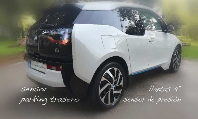 I3 REX